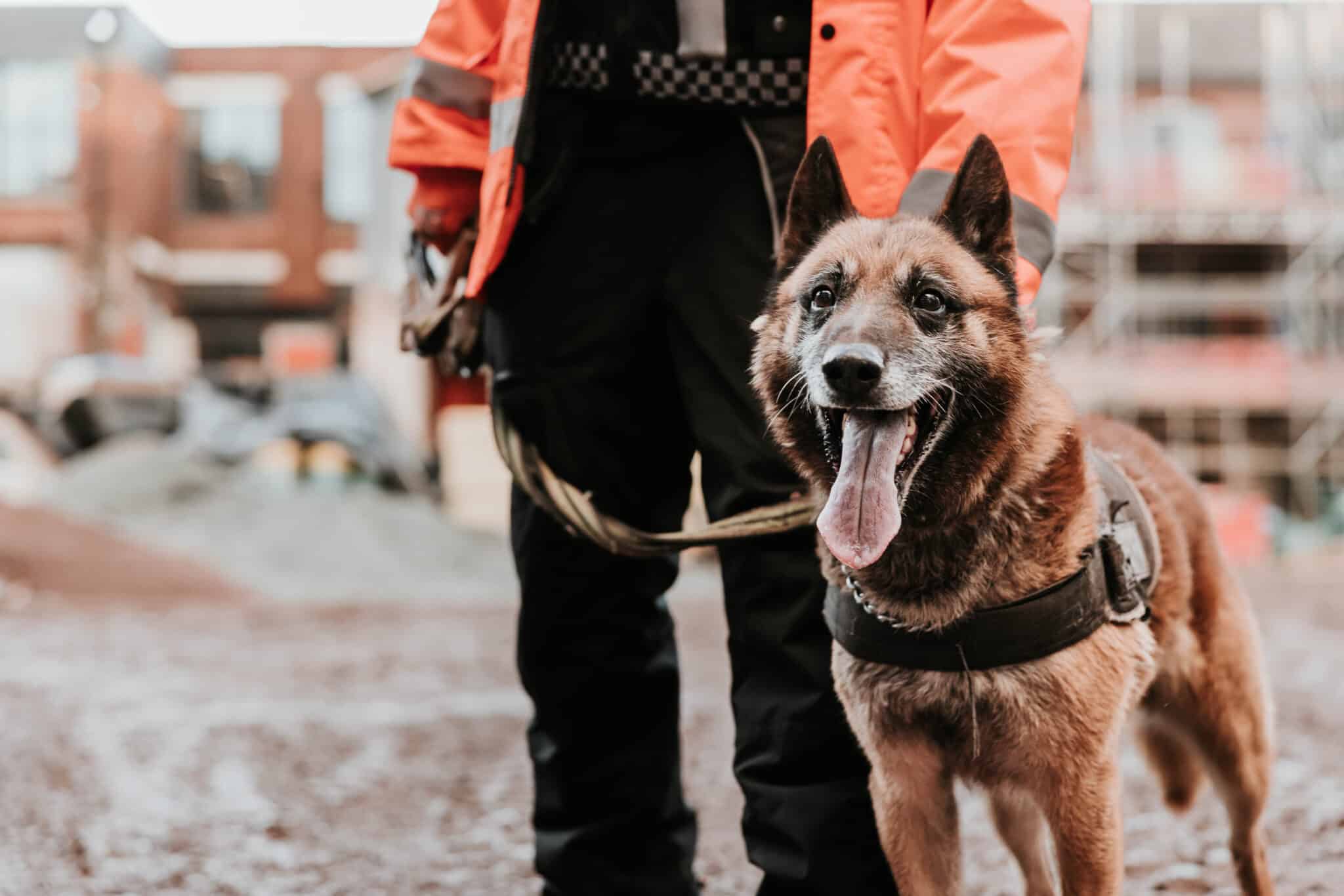 Region Security Guarding