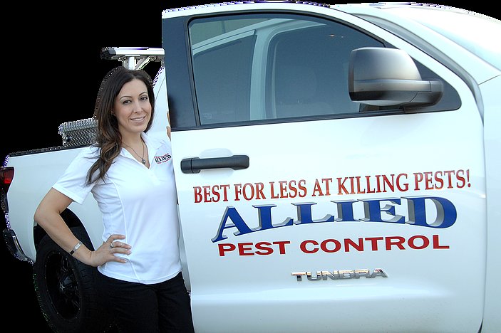 Allied Termite & Pest Control