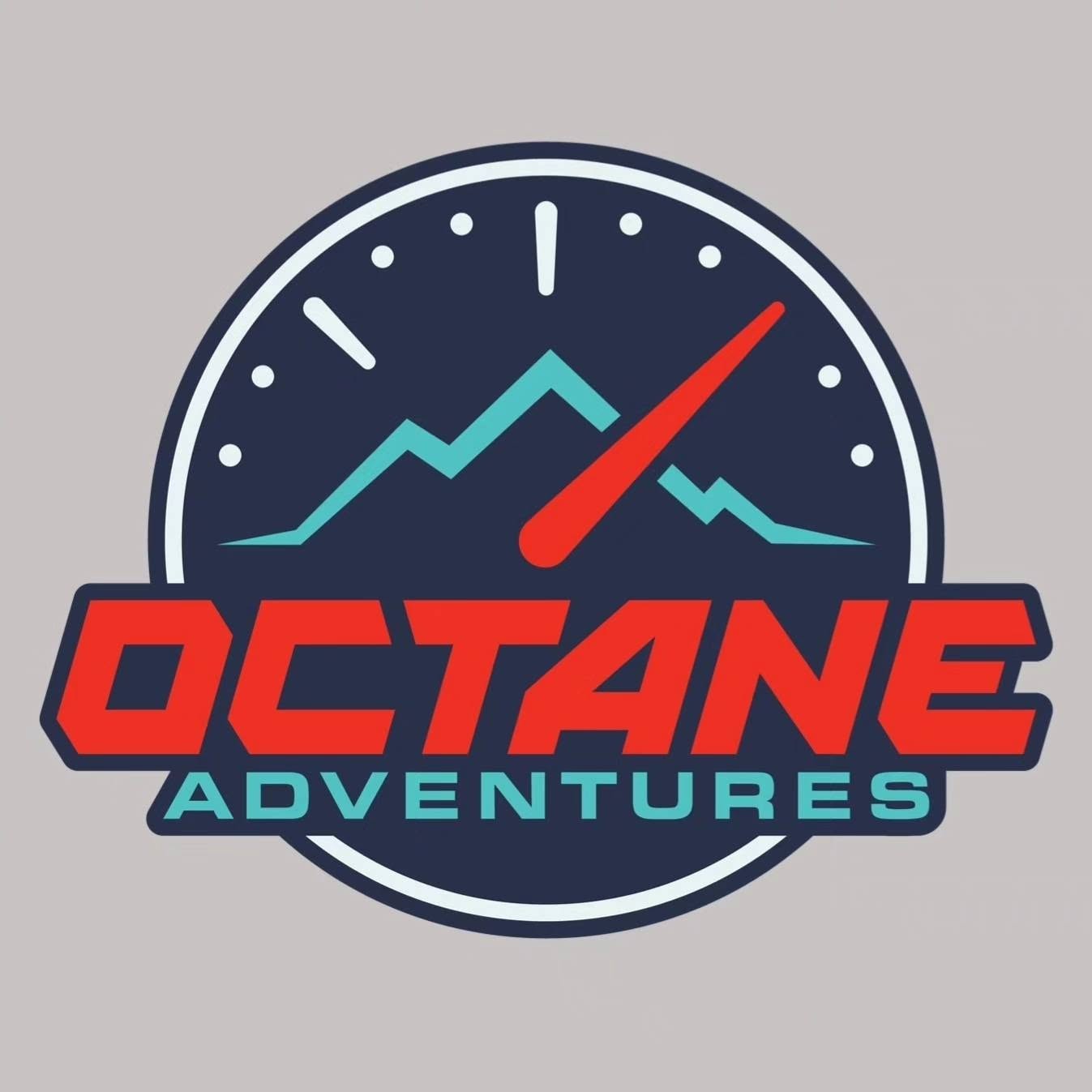 Octane Adventures - Scenic Snowmobile Tours