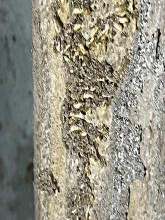 Omega Pest Control LLC