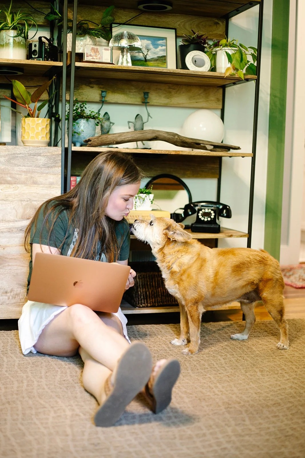 Happy Tails Pet Care