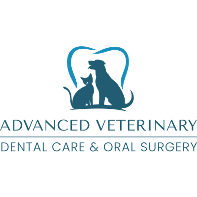 Advanced Veterinary Dental Care and Oral Surgery