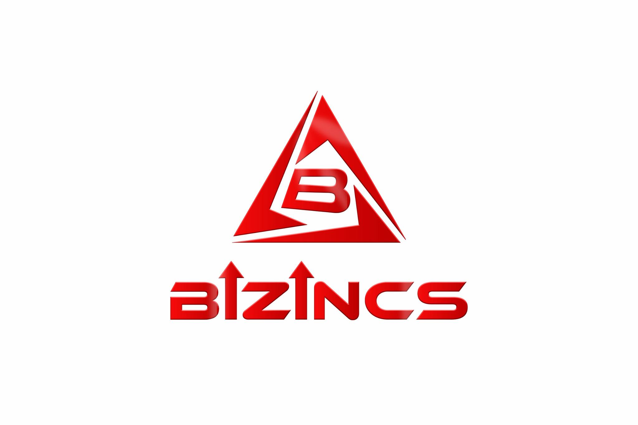 Bizincs: Incorporate