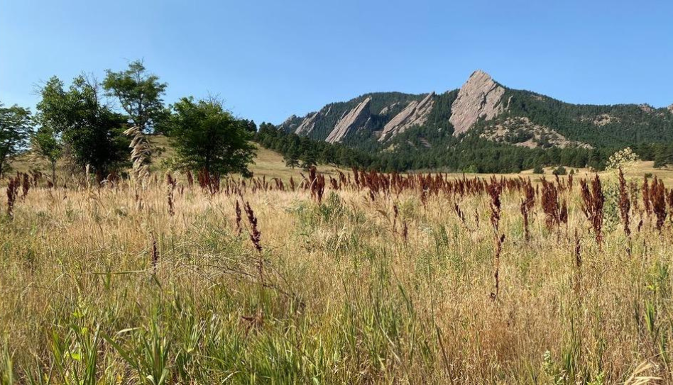 Flatirons Recovery