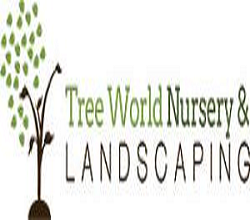 Tree World Landscaping