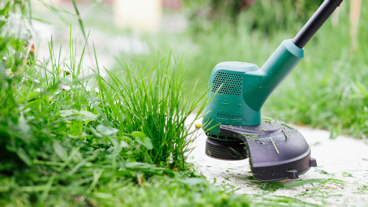 Tree World Landscaping