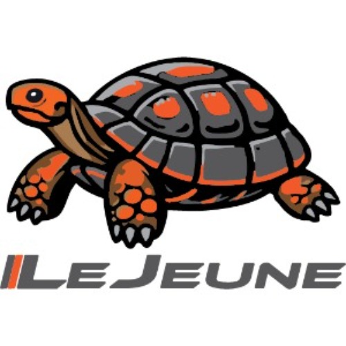 LeJeune Ceramic Coating & Paint Protection