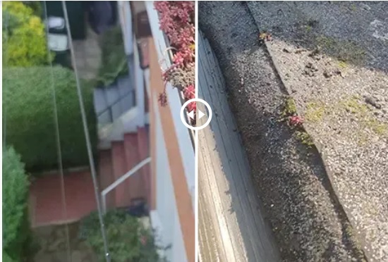Bens Gutter Cleaning Cheltenham