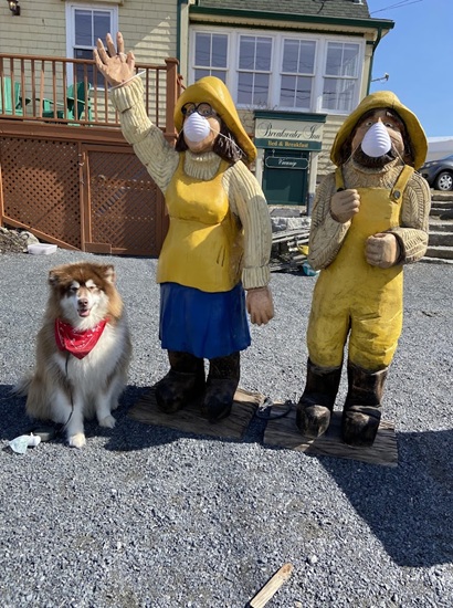 Sunnyview Animal Care