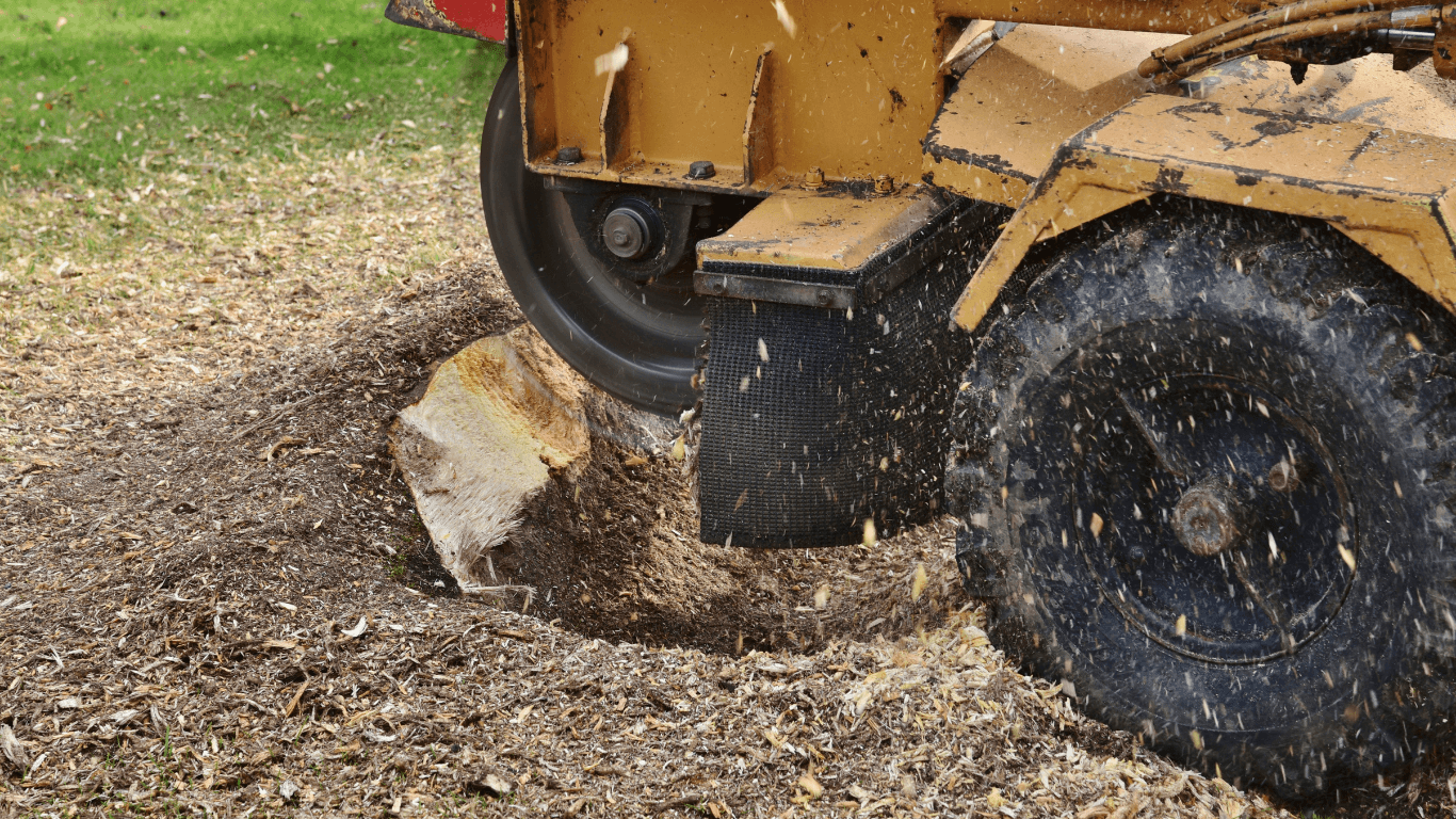 Loggers Herriman Tree Service
