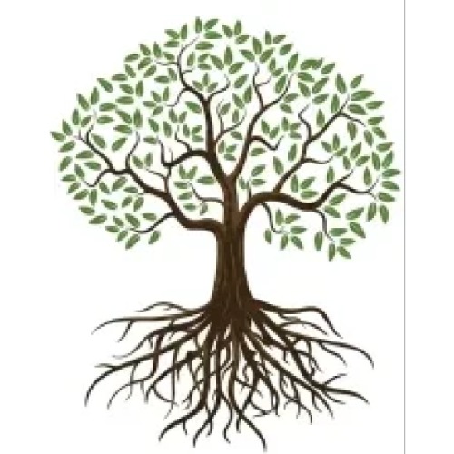 Kingdom Tree Services