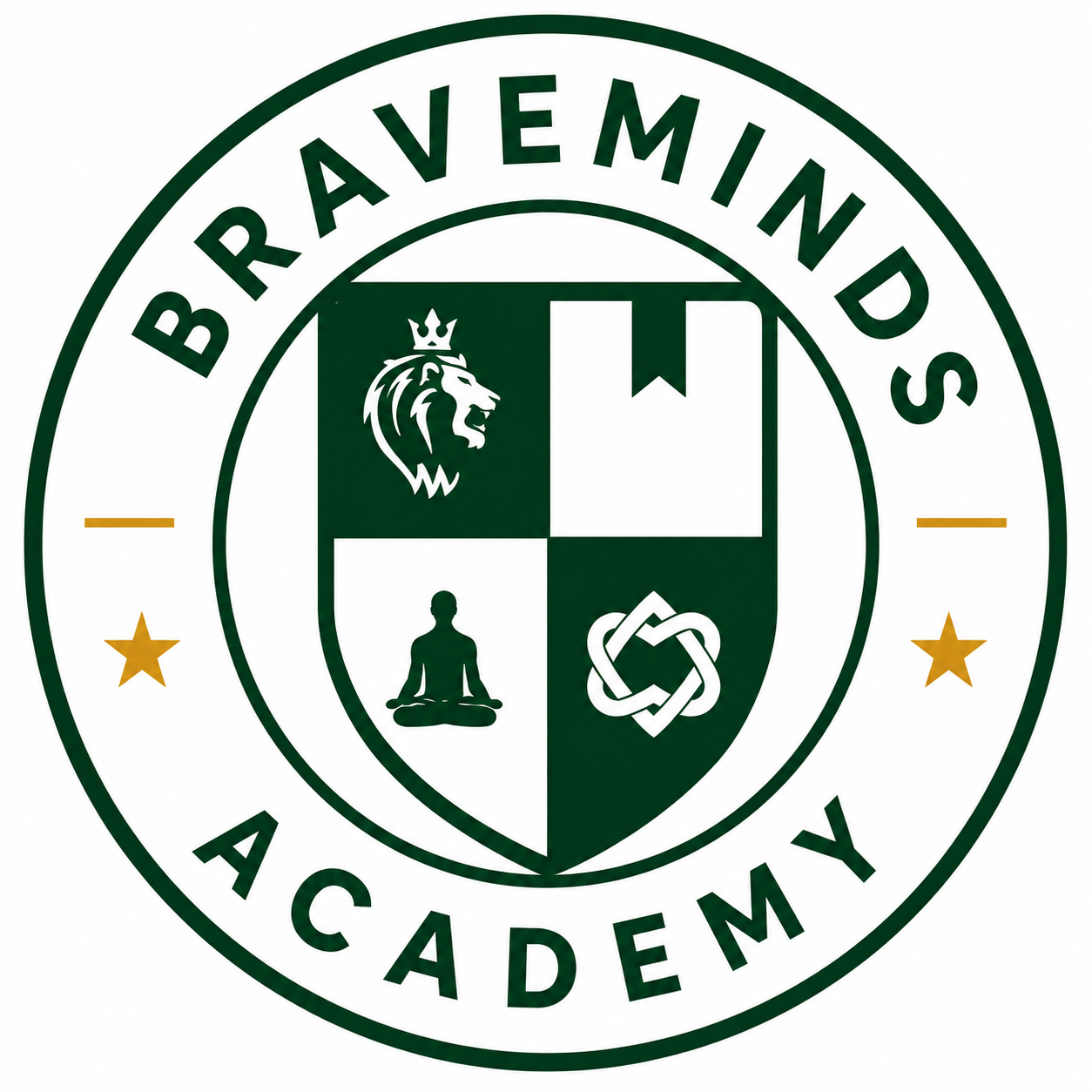 Braveminds Academy