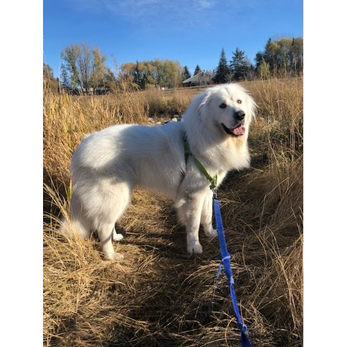 Seasons Veterinary Clinic