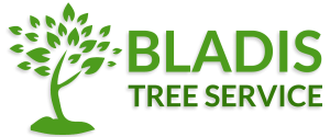 Bladi's Tree Service