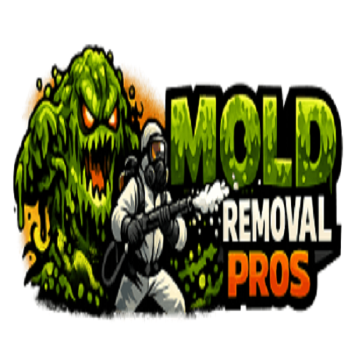 Mold Removal Pros Longmont