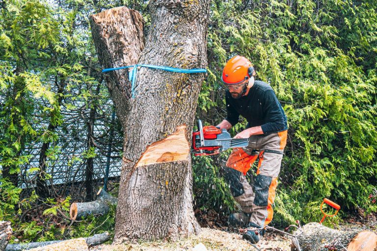 JL's Tree Service