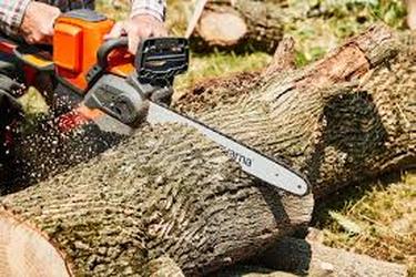 Tallahassee Tree Pros