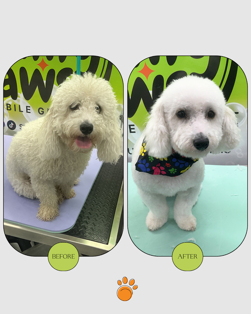 Sunny Paws Mobile Grooming