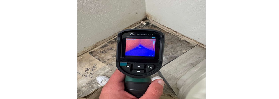 LA Mold Testing