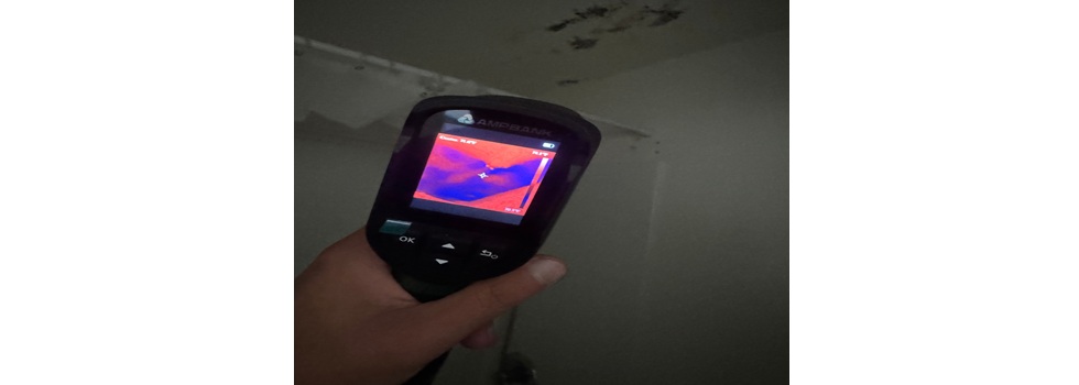 Clear Home Mold Testing