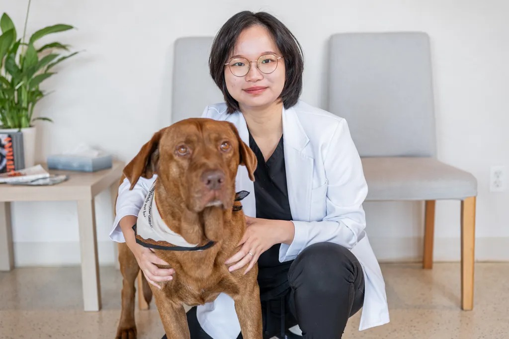 The Pet Hospital of La Mesa