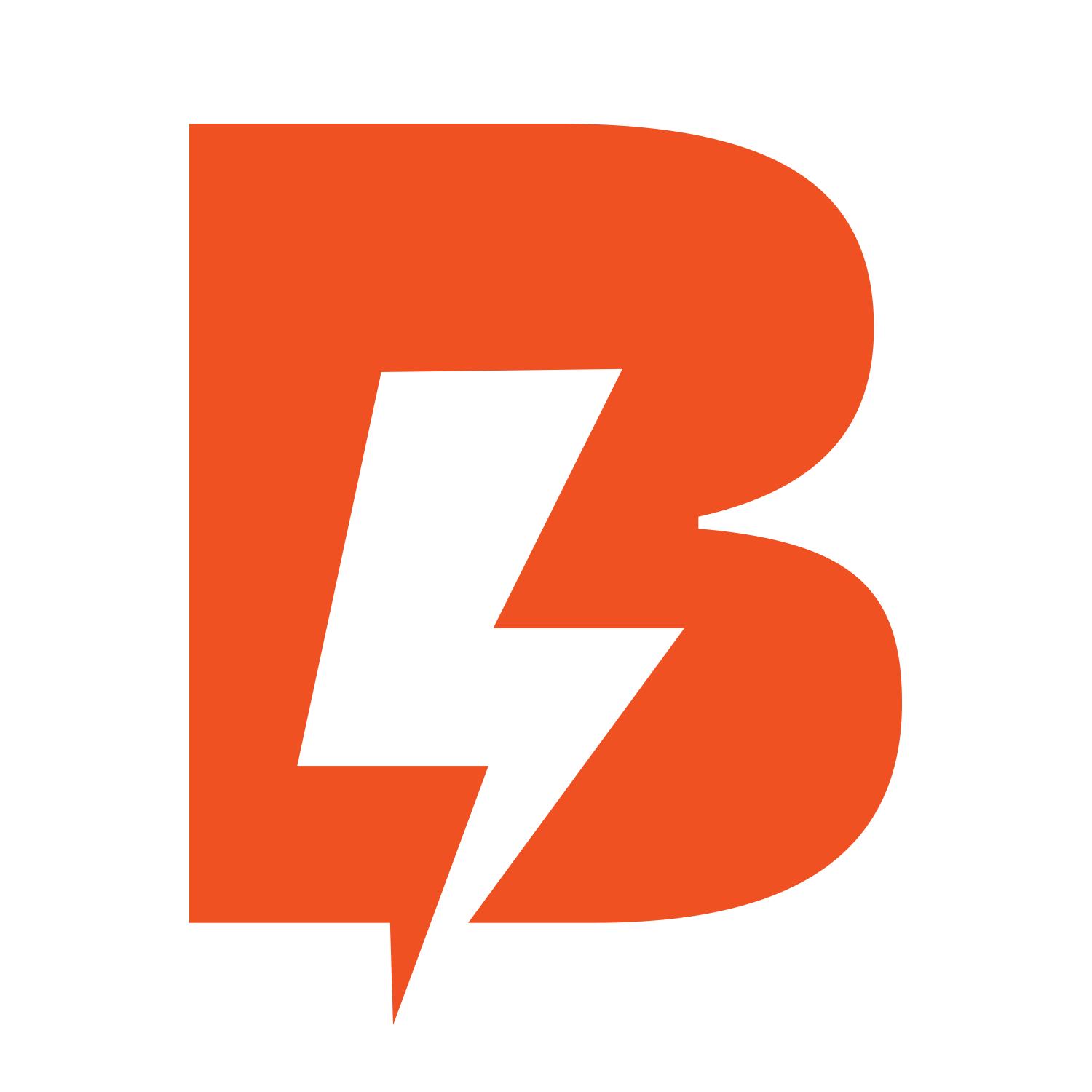 Boychuck Electric