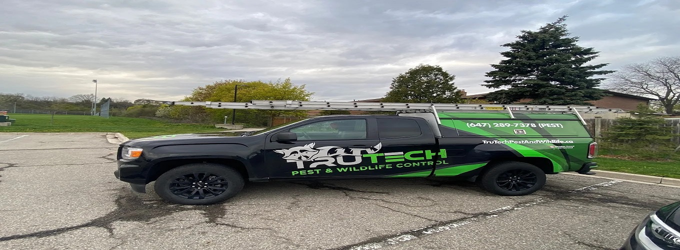 TruTech Pest & Wildlife Control