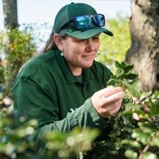 Pro Turf & Pro Pest Solutions - St. Louis Lawn Care