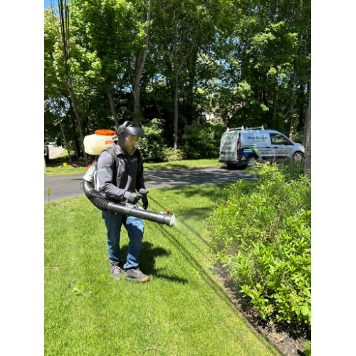 Pro-Force Pest Solutions