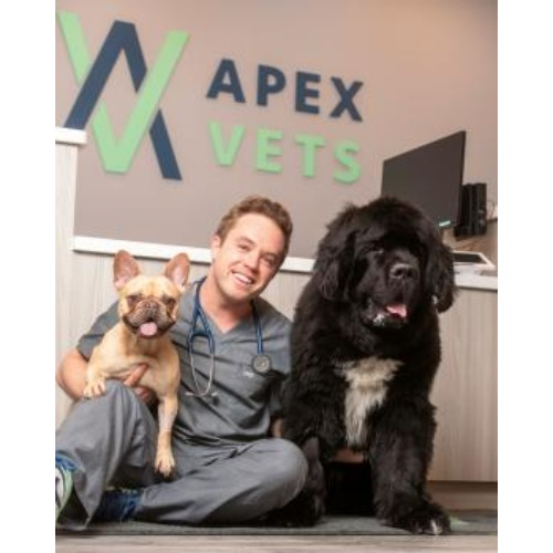 Apex Vets