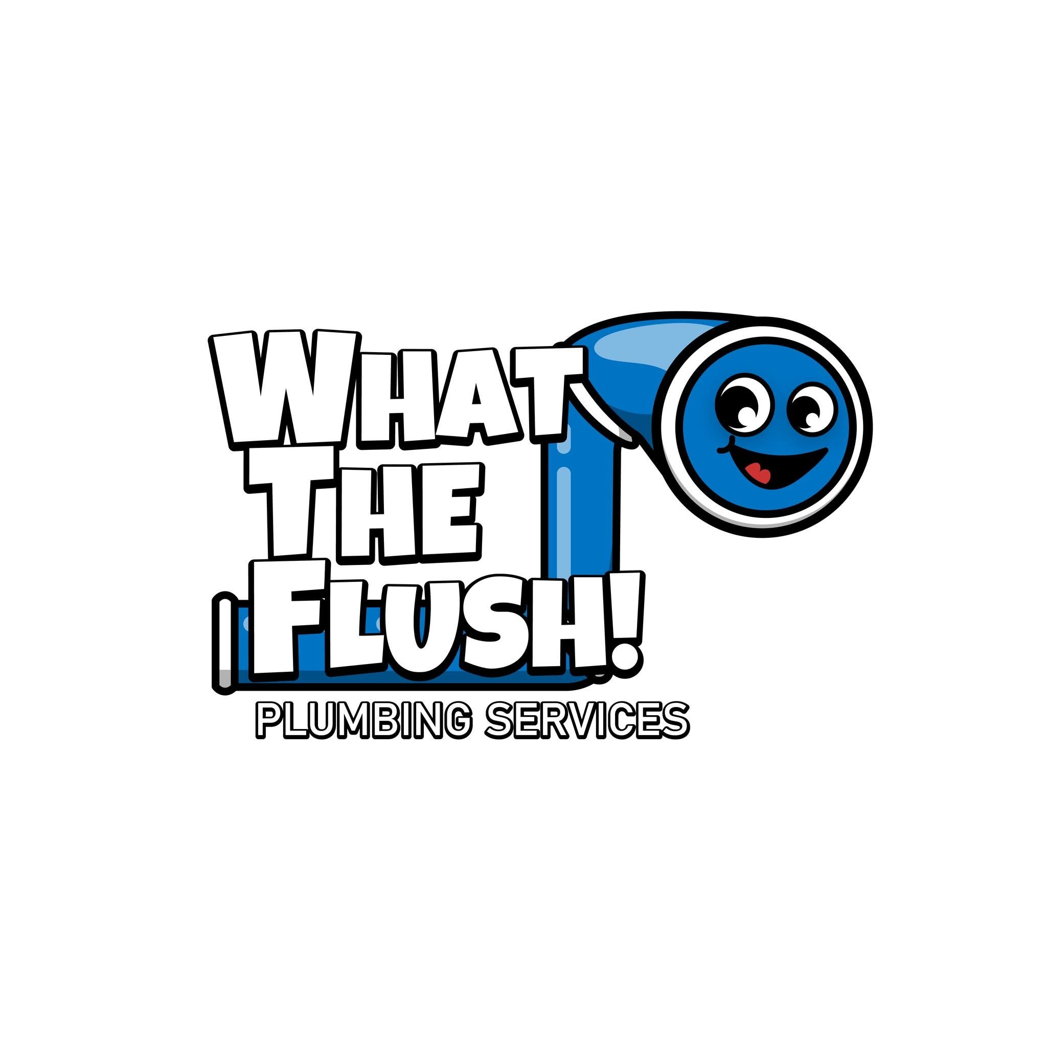 What The Flush Plumbing Services