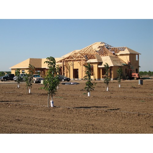 Custom Homes by Miller
