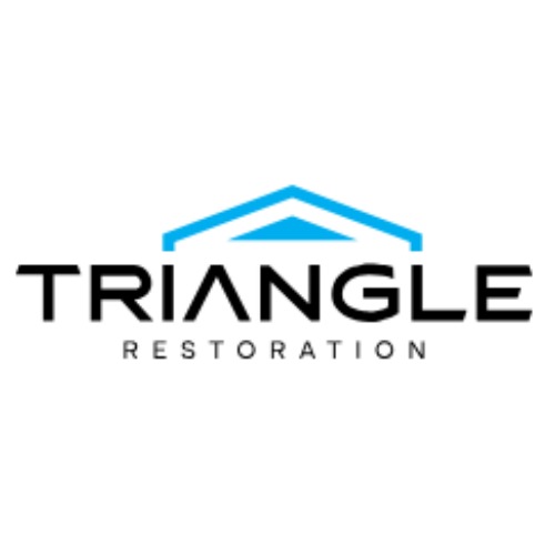 Triangle Restoration