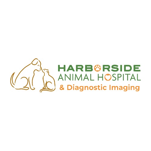 Harborside Animal Hospital