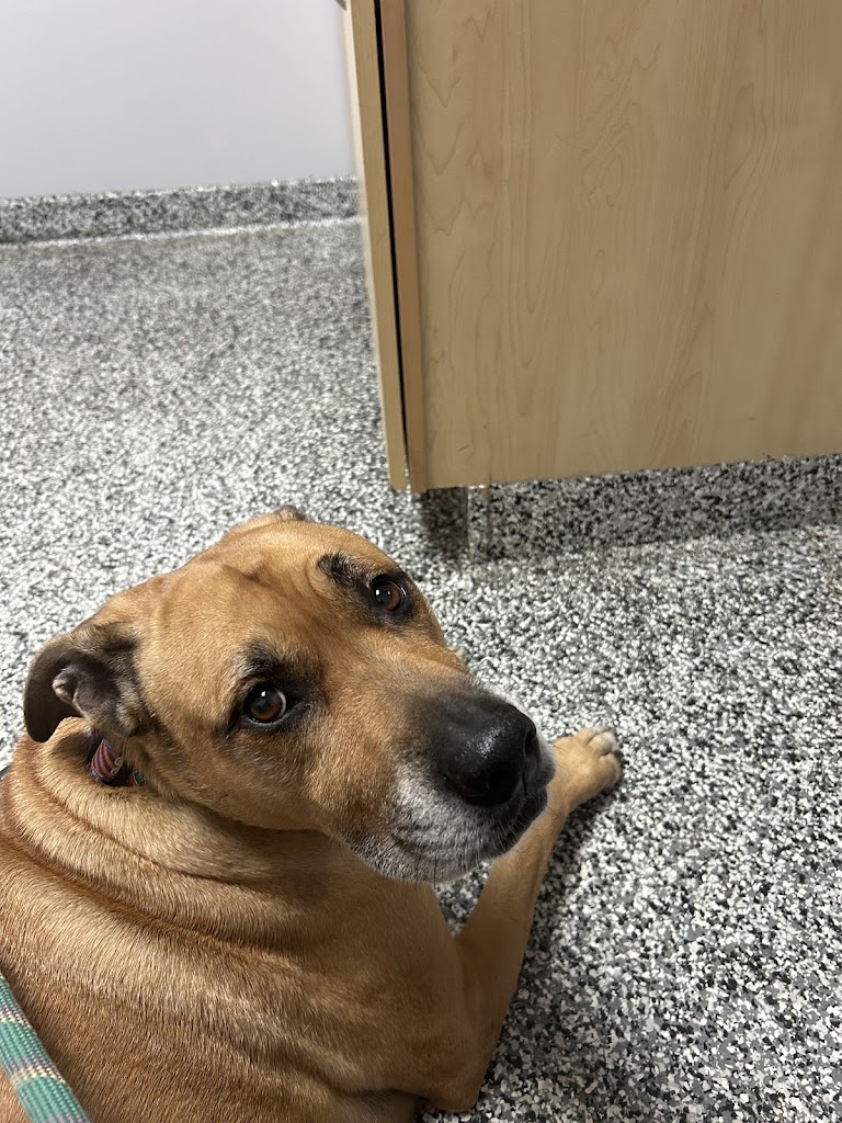Harborside Animal Hospital
