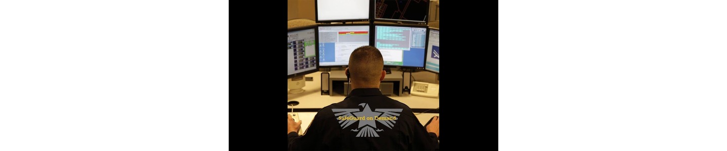 Safeguard On Demand Security Services