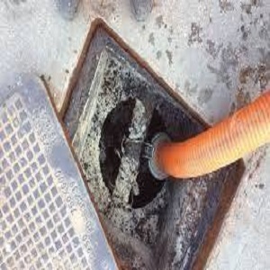 Tiger Grease and Septic