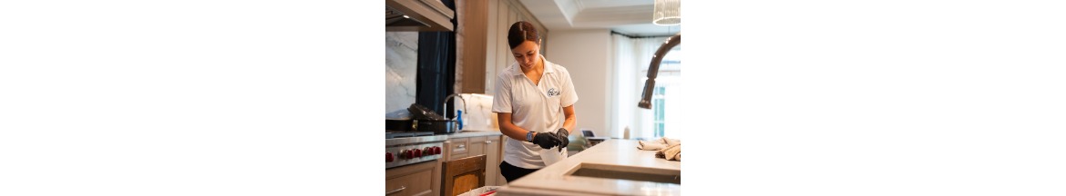 Sparkle & Shine Cleaning LA - LA House Cleaners