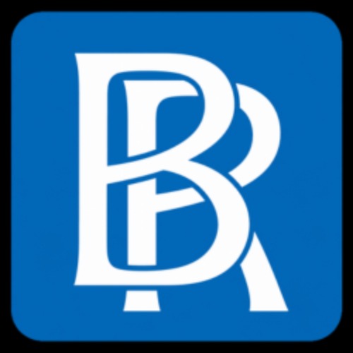 Bernhardt Restoration, Inc.