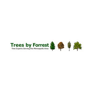 Trees by Forrest