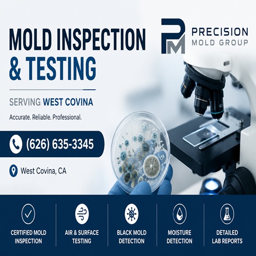Precision Mold Group