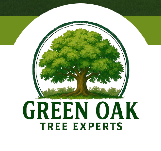 Green Oak Tree Experts