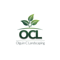 Olguin C Landscaping LLC