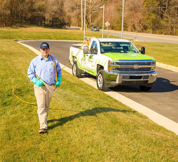 The Green Team
