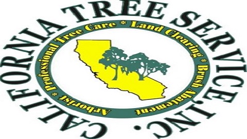 Saira tree services