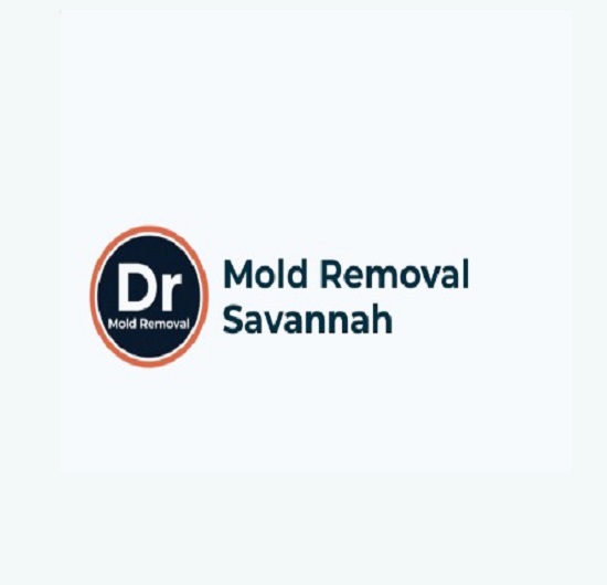 Dr mold removal savannah