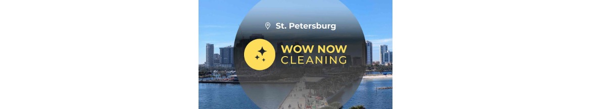 Wow Now Cleaning