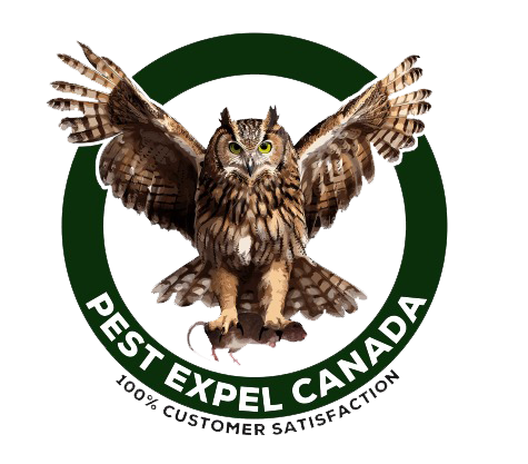 Pest Control Woodbridge Canada