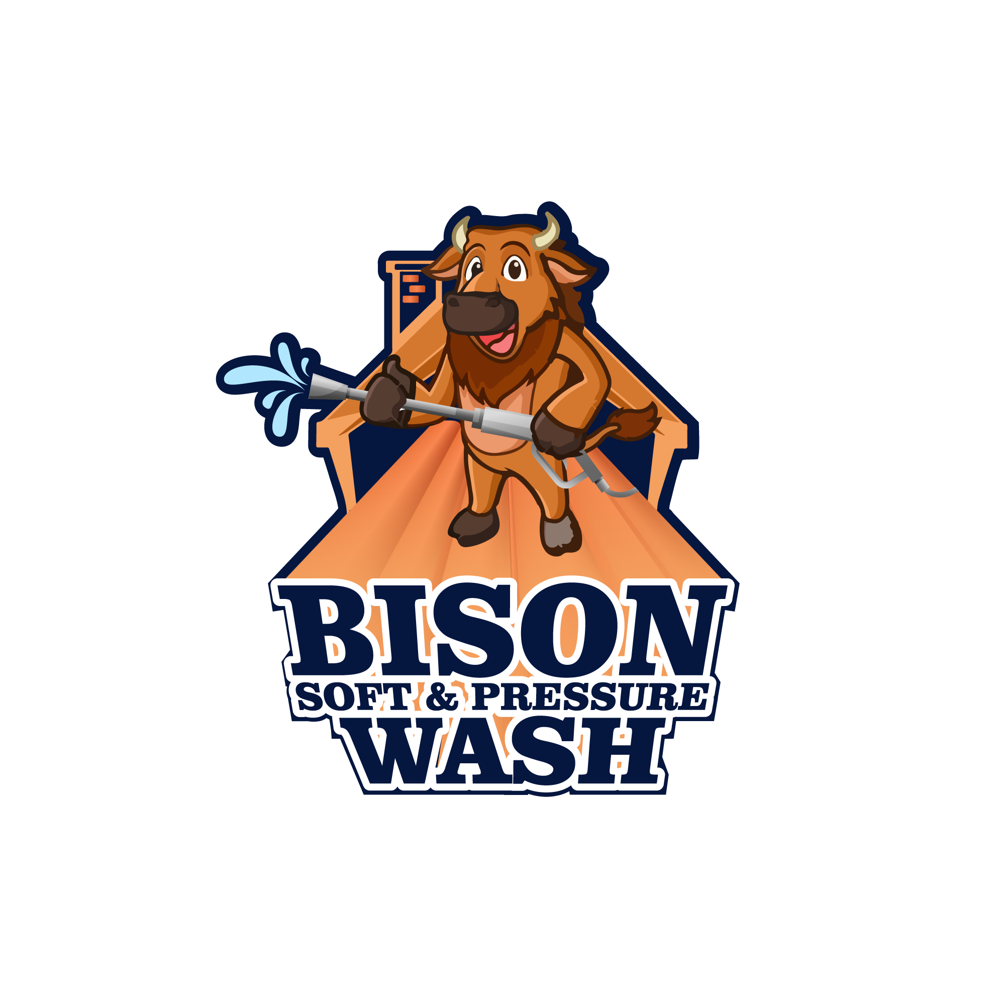 Bison Soft and Pressure Wash