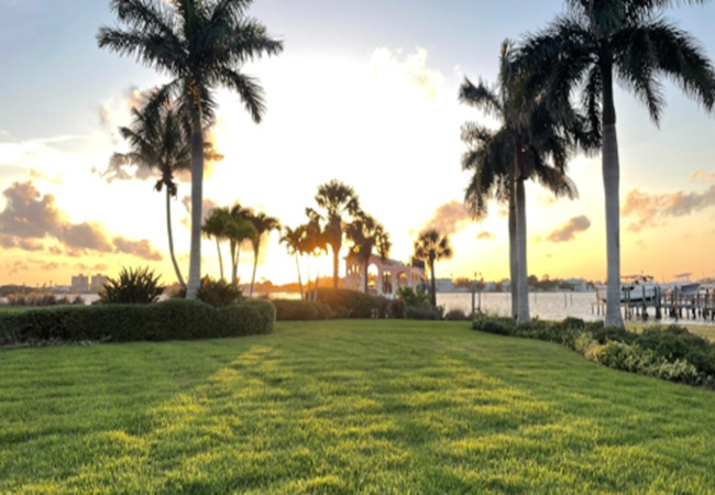 Barefoot Grass